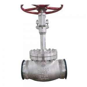 Cryogenic Globe Valve